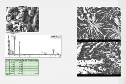 Foto al microscopio elettronico