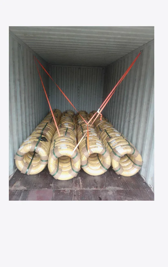 Foto del carico in container